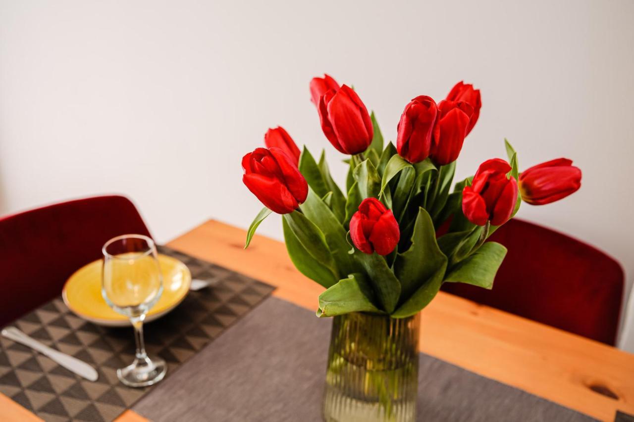 City Apartment Dorobantilor Kolozsvár Kültér fotó