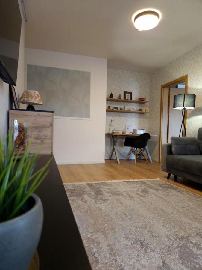 City Apartment Dorobantilor Kolozsvár Kültér fotó